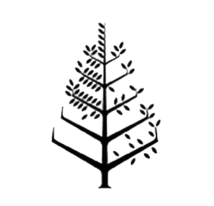 蘇梅島四季酒店 Logo